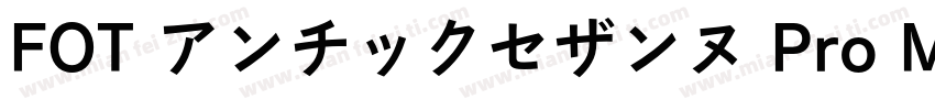 FOT アンチックセザンヌ Pro M Regular字体转换